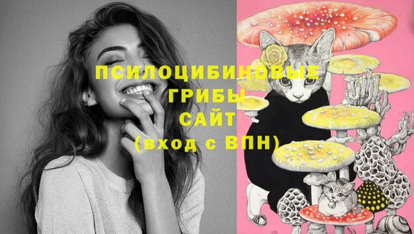 круглые Бронницы