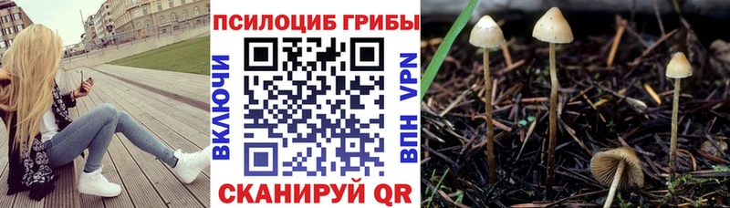 Галлюциногенные грибы MAGIC MUSHROOMS Новоуральск